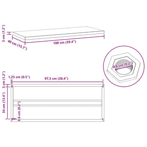 vidaXL Wall Shelves 2 pcs. 100x40 cm Silver Stainless Steel