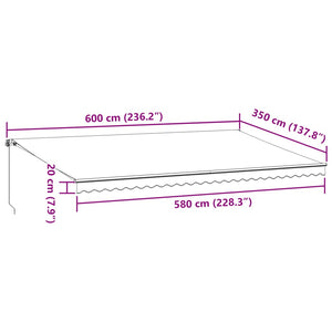 vidaXL Manual Awning Brown 600x350 cm