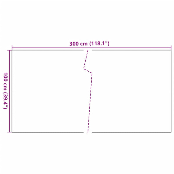 vidaXL Balcony Privacy Screen Anthracite 300x100 cm Poly Rattan