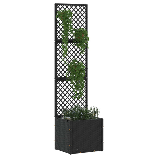 Garten Spalier Pflanzer Schwarz Metall