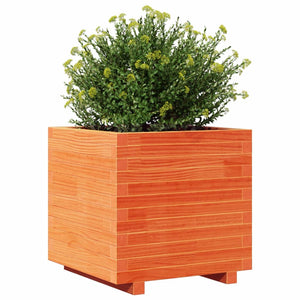 vidaXL Planter Wax Brown 50x50x49.5 cm Solid Pine Wood