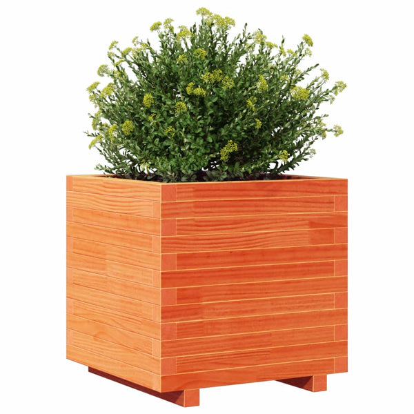 vidaXL Planter Wax Brown 50x50x49.5 cm Solid Pine Wood