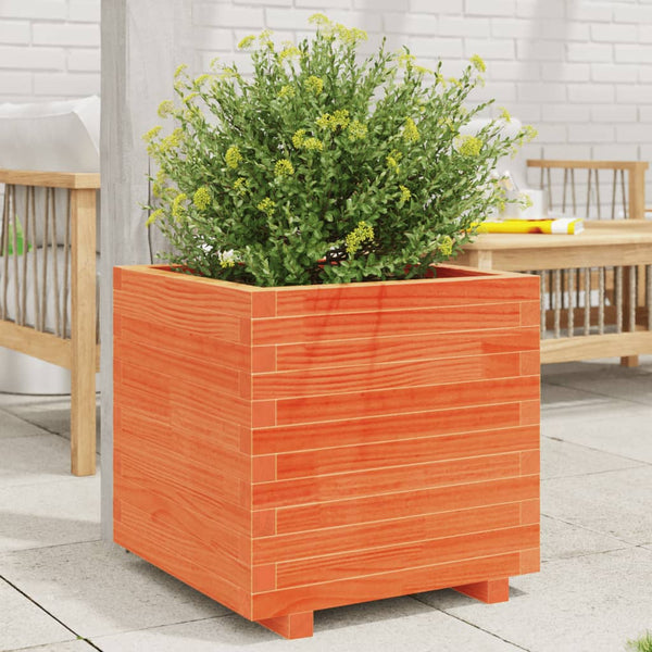 vidaXL Planter Wax Brown 50x50x49.5 cm Solid Pine Wood