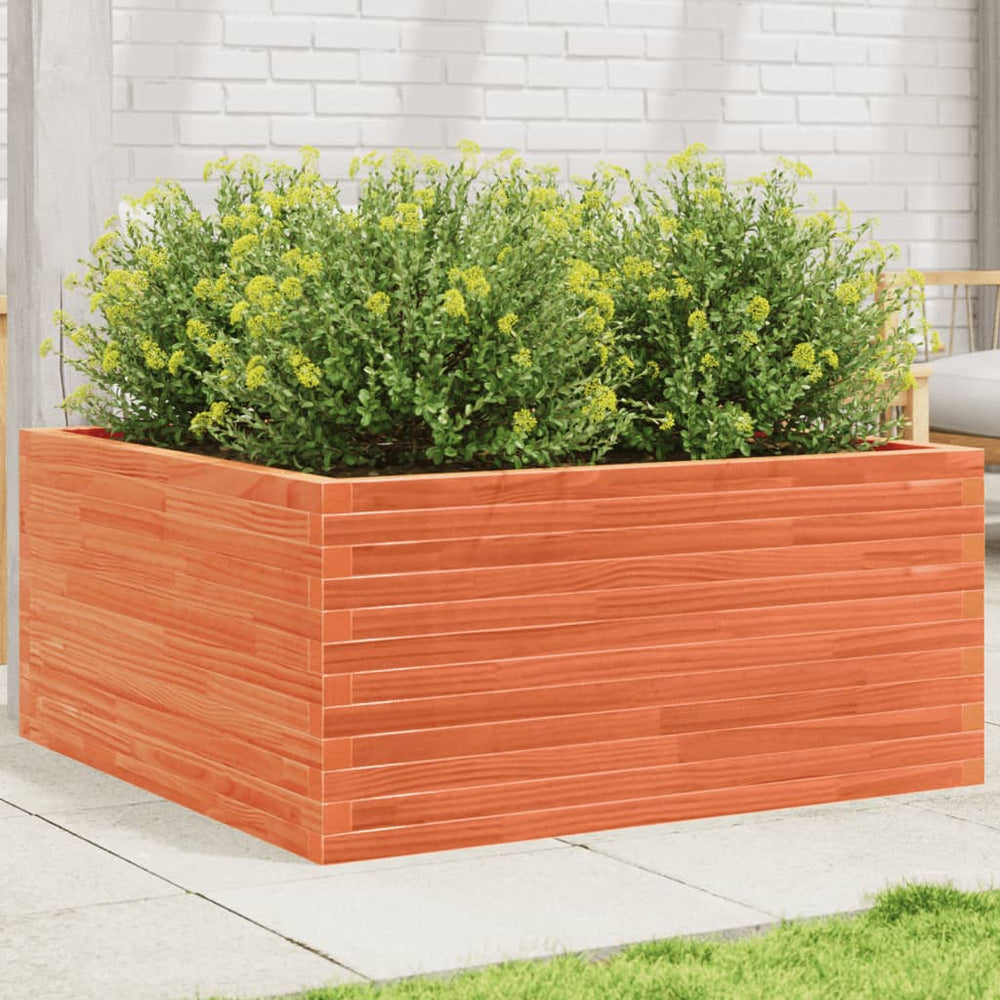 vidaXL Planter Wax Brown 100x100x46 cm Solid Pine Wood