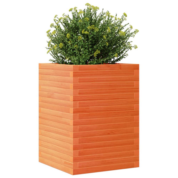 vidaXL Planter Wax Brown 50x50x68.5 cm Solid Pine Wood