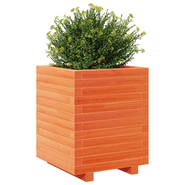 vidaXL Planter Wax Brown 40x40x49.5 cm Solid Pine Wood
