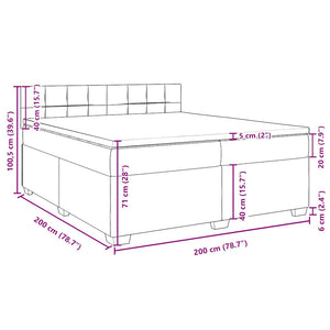 vidaXL Box Spring Bed with Mattress Blue 200x200 cm Velvet