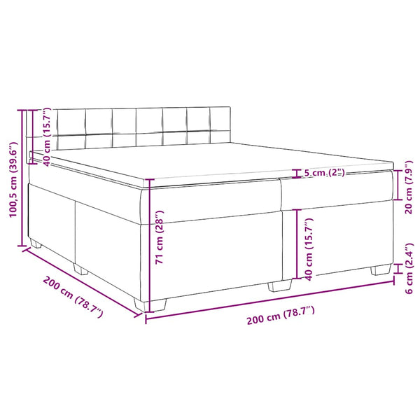 vidaXL Box Spring Bed with Mattress Blue 200x200 cm Velvet