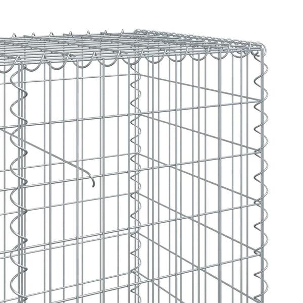 Gabione mit Deckel 100x50x100 cm