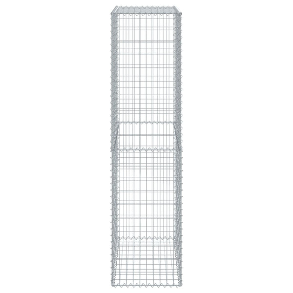Gabione mit Deckel 100x50x200 cm