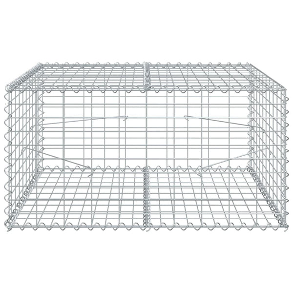 Gabione mit Deckel 100x100x50 cm