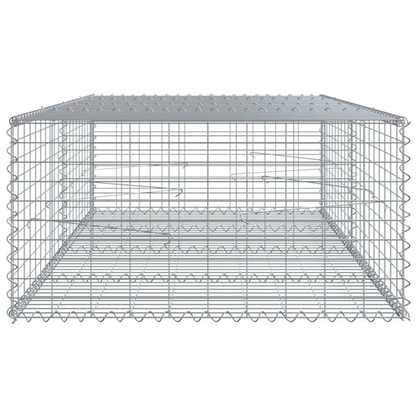 Gabione mit Deckel 200x100x50cm