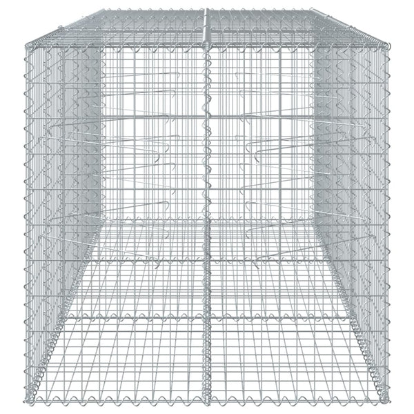 Gabione mit Deckel 300x100x100 cm