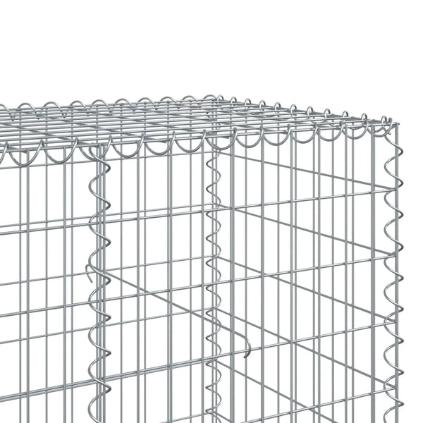Gabione mit Deckel 300x100x100 cm