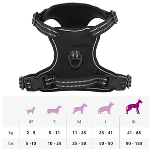 Reflektierendes Hundegeschirr Schwarz XL