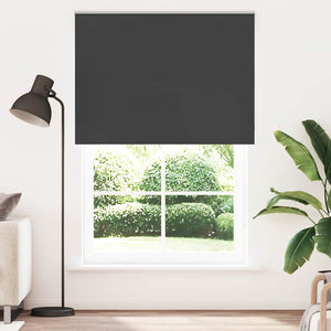 vidaXL Black Blackout Roller Blind 165x230 cm Fabric width 161.6 cm