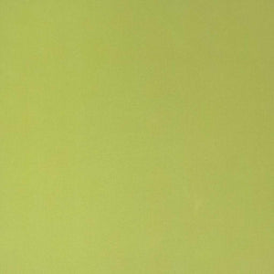 vidaXL Blackout Roller Blind Green 100x230 cm Fabric width 95.7cm Polyester