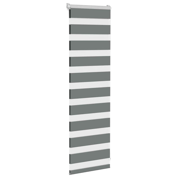 vidaXL Double Roller Blind Dark Grey 40x100 cm Fabric Width 35.9 cm Polyester