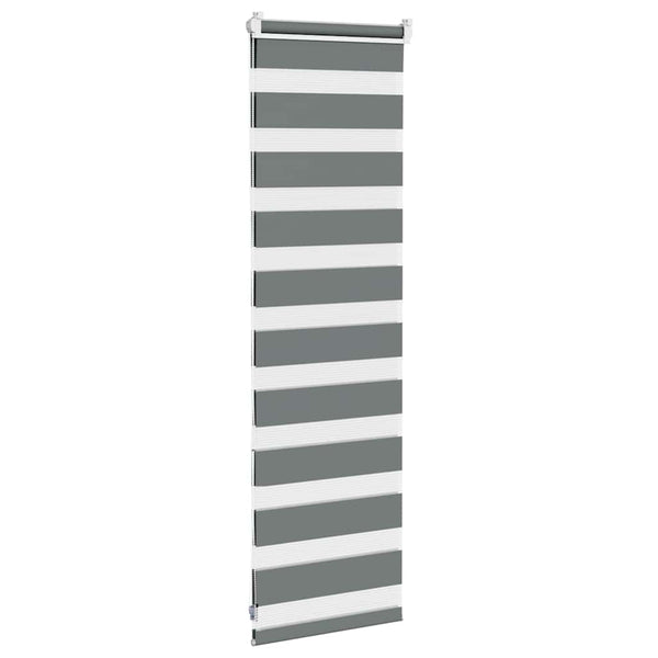 vidaXL Double Roller Blind Dark Grey 40x100 cm Fabric Width 35.9 cm Polyester