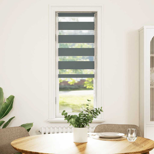 vidaXL Double Roller Blind Dark Grey 45x100 cm Fabric Width 40.9 cm Polyester