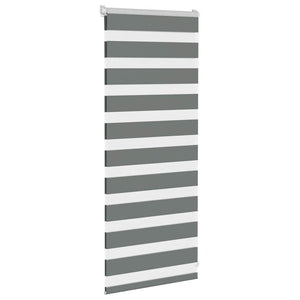 Doppelrollo Dunkelgrau 60x100 cm