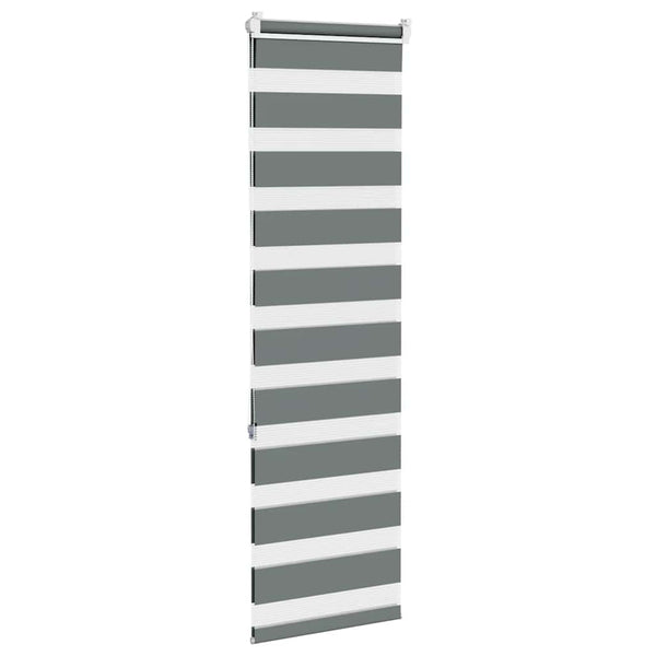 Doppelrollo Dunkelgrau 45x150 cm
