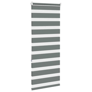 Doppelrollo Dunkelgrau 55x150 cm