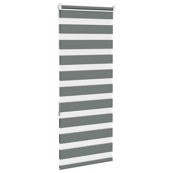 Doppelrollo Dunkelgrau 65x150 cm