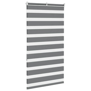 Doppelrollo Dunkelgrau 70x150 cm