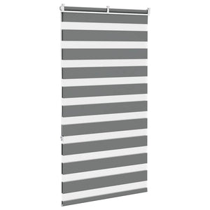 Doppelrollo Dunkelgrau 75x150 cm