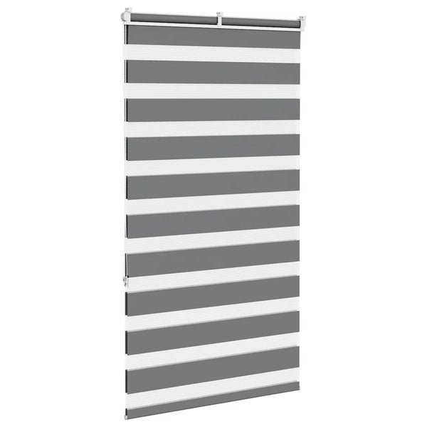 Doppelrollo Dunkelgrau 75x150 cm
