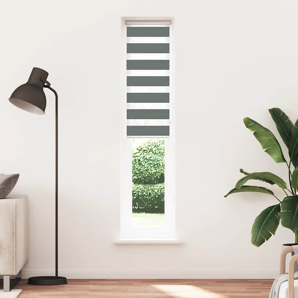 vidaXL Double Roller Blind Dark Grey 45x230 cm Fabric Width 40.9 cm Polyester