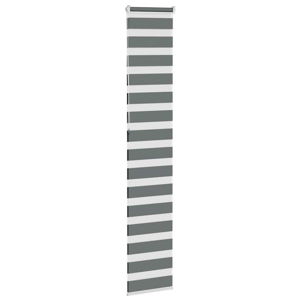 vidaXL Double Roller Blind Dark Grey 45x230 cm Fabric Width 40.9 cm Polyester