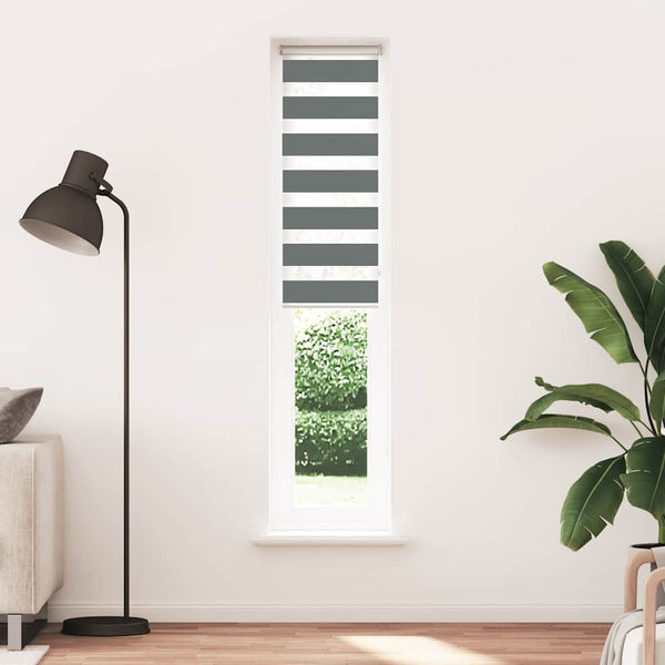 vidaXL Double Roller Blind Dark Grey 50x230 cm Fabric width 45.9 cm Polyester