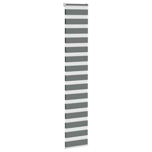 vidaXL Double Roller Blind Dark Grey 50x230 cm Fabric width 45.9 cm Polyester