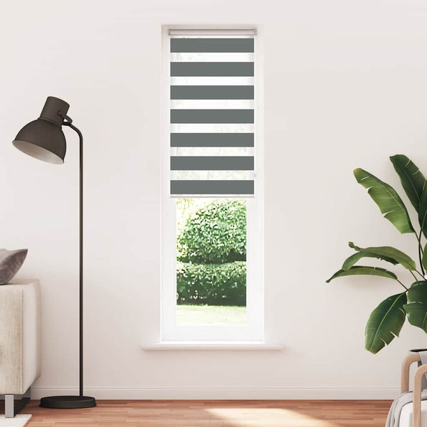 vidaXL Double Roller Blind Dark Grey 60x230 cm Fabric Width 55.9 cm Polyester