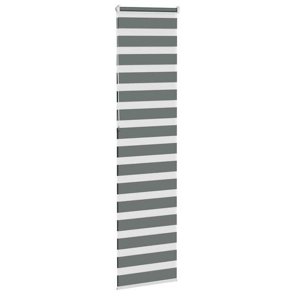 vidaXL Double Roller Blind Dark Grey 60x230 cm Fabric Width 55.9 cm Polyester