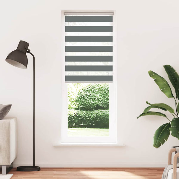 vidaXL Double Roller Blind Dark Grey 85x230 cm Fabric width 80.9 cm Polyester