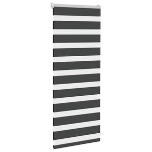 vidaXL Double Roller Blind Black 60x100 cm Fabric Width 55.9 cm Polyester