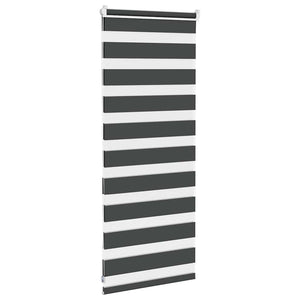 vidaXL Double Roller Blind Black 60x100 cm Fabric Width 55.9 cm Polyester