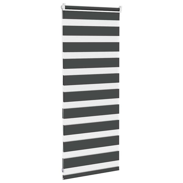 vidaXL Double Roller Blind Black 60x100 cm Fabric Width 55.9 cm Polyester
