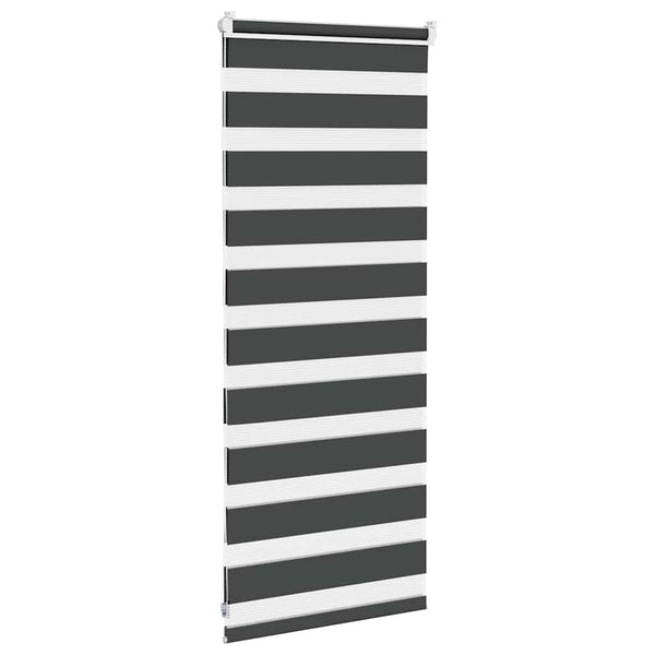 vidaXL Double Roller Blind Black 65x100 cm Fabric Width 60.9 cm Polyester