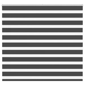 vidaXL Day and Night Roller Blind Black 165x100 cm Fabric Width 160.9 cm Polyester