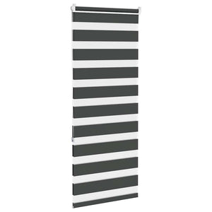 vidaXL Double Roller Blind Black 60x150 cm Fabric Width 55.9 cm Polyester