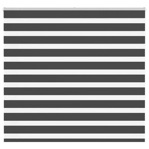 vidaXL Day and Night Roller Blind Black 155x150 cm Fabric Width 150.9 cm Polyester