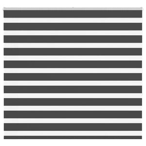 vidaXL Double Roller Blind Black 160x150 cm Fabric width 155.9 cm Polyester