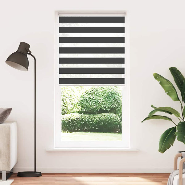 vidaXL Double Roller Blind Black 100x230 cm Fabric Width 95.9 cm Polyester