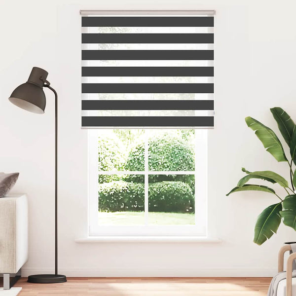 Doppelrollo Schwarz 120x230 cm