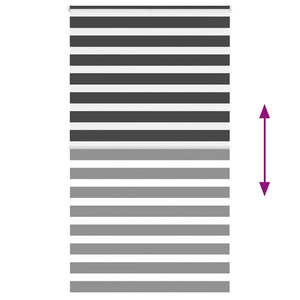 Doppelrollo Schwarz 120x230 cm