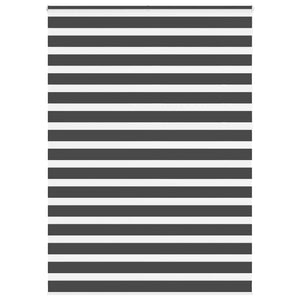 Doppelrollo Schwarz 165x230 cm